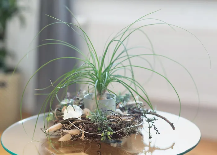 Feldmann Auf Der Mauer Διαμέρισμα Schmallenberg